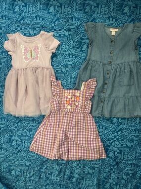 Toddler Girl Dress Lot size 3t